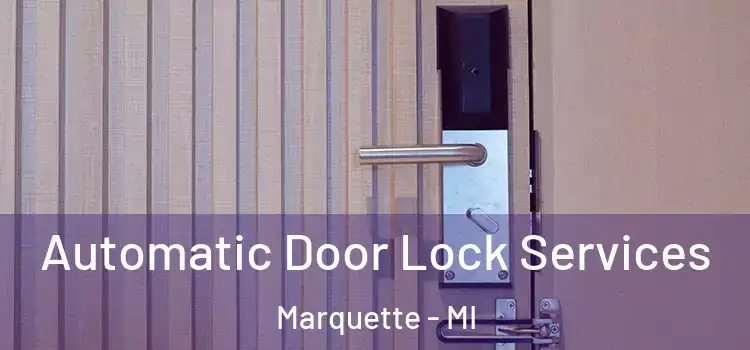 Automatic Door Lock Services Marquette - MI