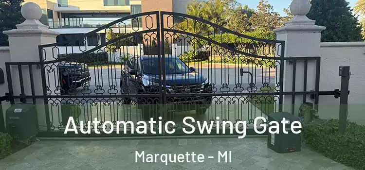  Automatic Swing Gate Marquette - MI