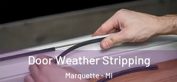  Door Weather Stripping Marquette - MI
