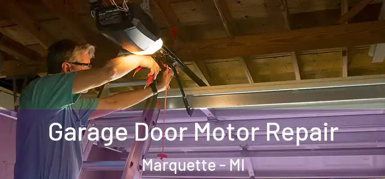  Garage Door Motor Repair Marquette - MI