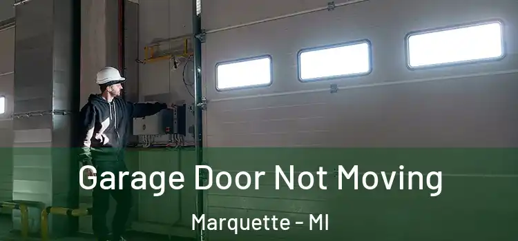  Garage Door Not Moving Marquette - MI