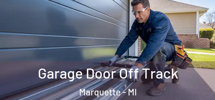  Garage Door Off Track Marquette - MI