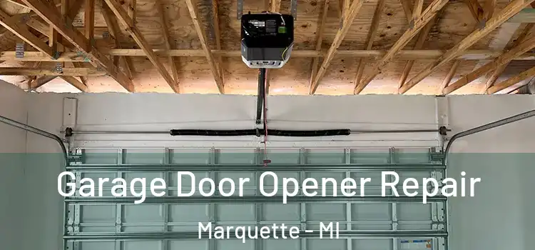  Garage Door Opener Repair Marquette - MI
