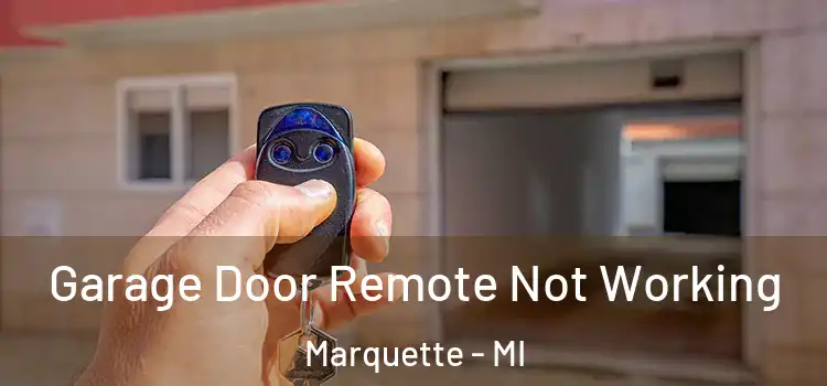  Garage Door Remote Not Working Marquette - MI