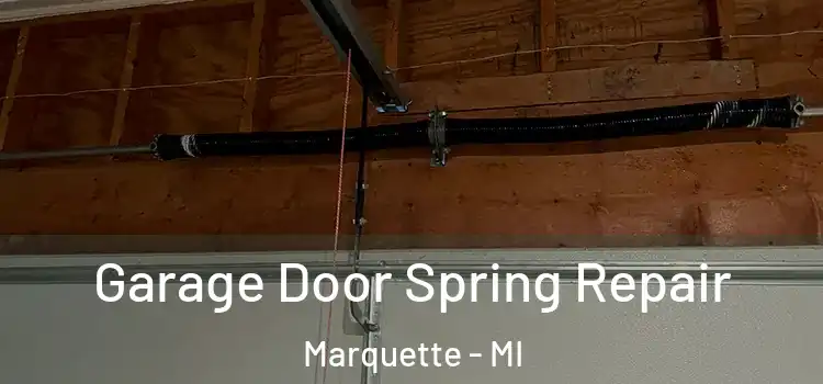  Garage Door Spring Repair Marquette - MI