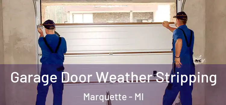  Garage Door Weather Stripping Marquette - MI
