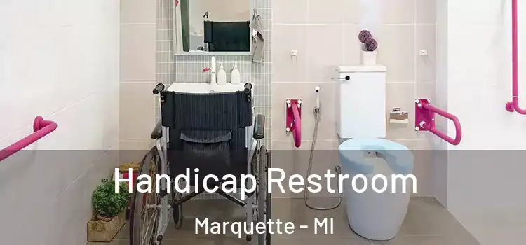  Handicap Restroom Marquette - MI