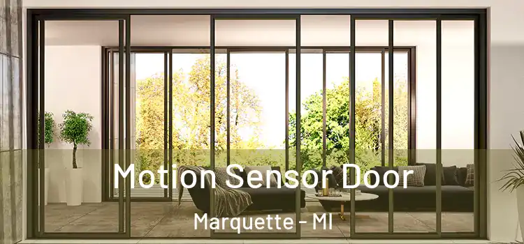Motion Sensor Door Marquette - MI