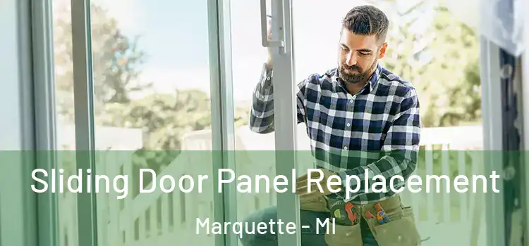  Sliding Door Panel Replacement Marquette - MI